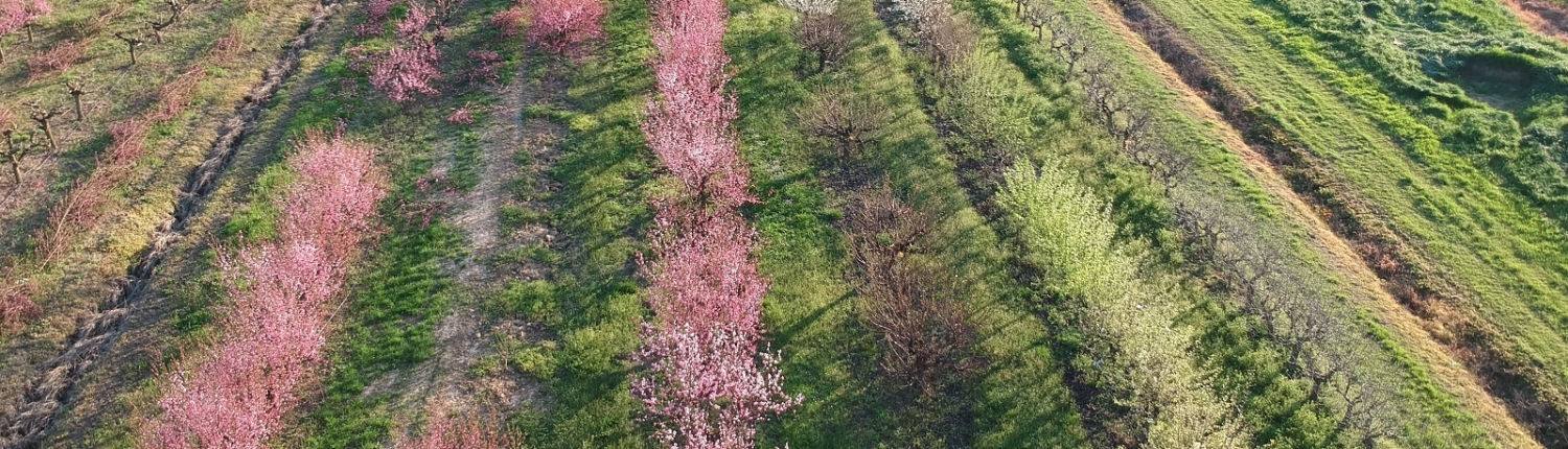 DCIM/100MEDIA/DJI_1410.JPG
