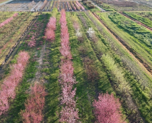 DCIM/100MEDIA/DJI_1410.JPG