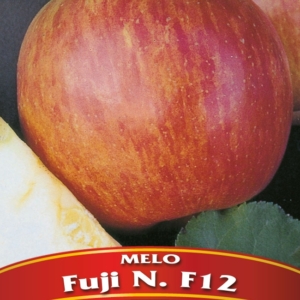 Melo Fuji N.F. 12